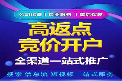 谷歌SEM广告平台的使用技巧：从新手到高手的进阶之路