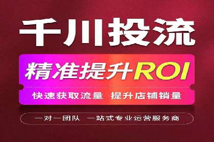 优化搜索流量：SEO技巧的多个成功案例